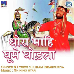 Rajasthani Unknown