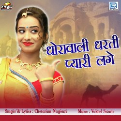Rajasthani Unknown