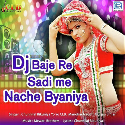 Unknown Dj Baje Re Sadi Mein
