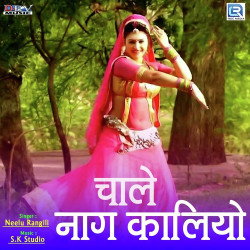 Rajasthani Unknown