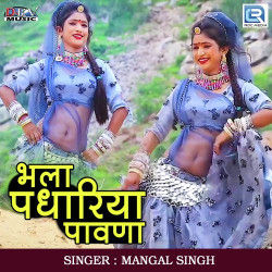 Rajasthani Unknown