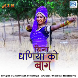 Rajasthani Unknown