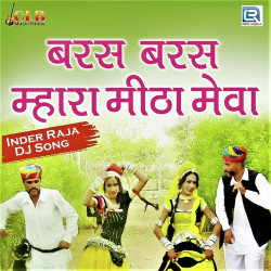 Rajasthani Unknown