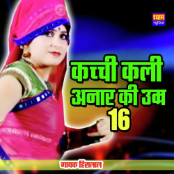 Rajasthani Unknown