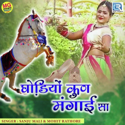 Rajasthani Unknown