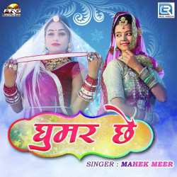 Unknown Ghoomar Chhe