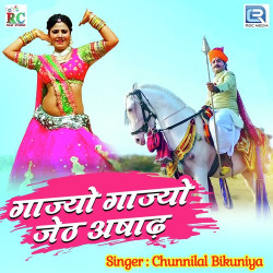 Rajasthani Unknown