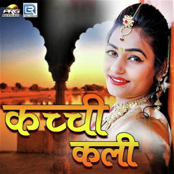 Rajasthani Unknown