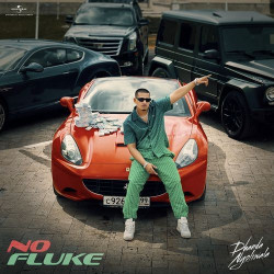 Unknown No Fluke