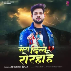 Unknown Mera Dil Ro Raha Hai