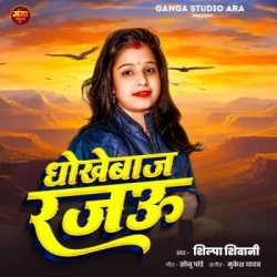 Unknown Dhokhebaaz Rajau