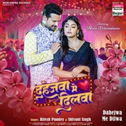 Unknown Dahejwa Me Dilwa