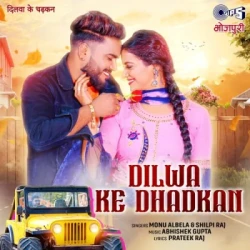 Unknown Dilwa Ke Dhadkan