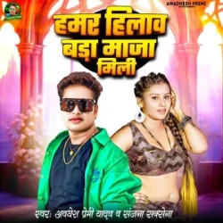 Unknown Hamar Hilaw Bada Maja Mili