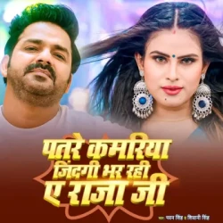 Unknown Patre Kamariya Zindagi Bhar Rahi Aye Raja Ji
