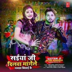 Unknown Saiyan Ji Dilwa Mangele Gamcha Bichai Ke
