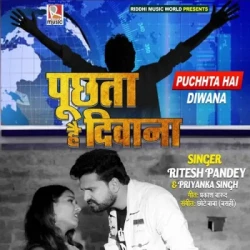 Unknown Puchhta Hai Diwana