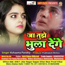 Unknown Ja tujhe bhula denge