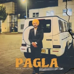 Unknown Pagla