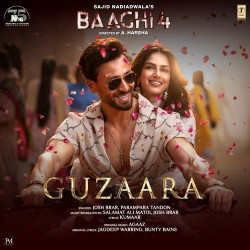 Unknown Guzaara (From Baaghi 4)