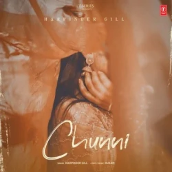 Unknown Chunni
