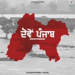 Unknown Dove Punjab