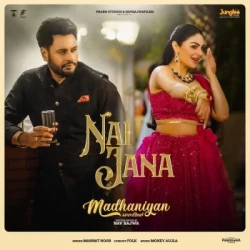 Punjabi-Singles Unknown