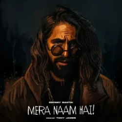 Hindi-Singles Unknown