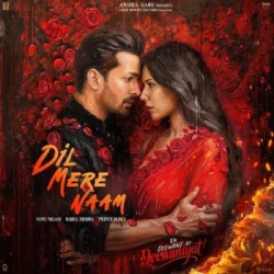 Unknown Dil Mere Naam