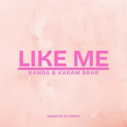 Punjabi-Singles Unknown