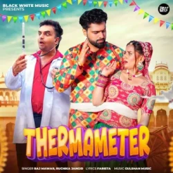 Unknown Thermameter