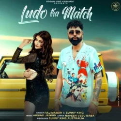 Unknown Ludo Ka Match