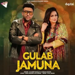 Punjabi-Singles Unknown