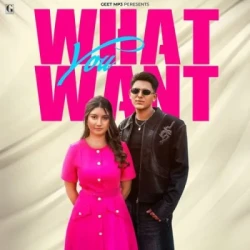 Punjabi-Singles Unknown