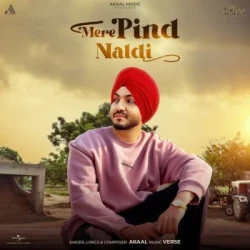 Unknown Mere Pind Naldi