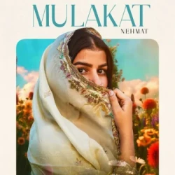 Punjabi-Singles Unknown