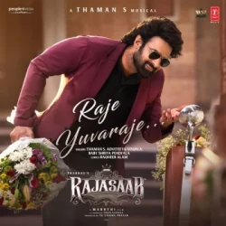 Unknown Raje Yuvaraje (Hindi)