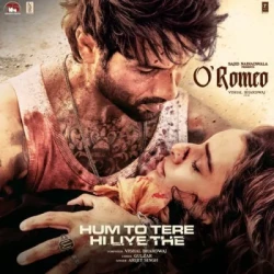 Unknown Hum To Tere Hi Liye The