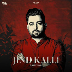 Punjabi Unknown