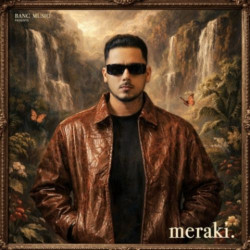 Unknown Meraki