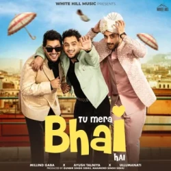 Unknown Tu Mera Bhai Hai