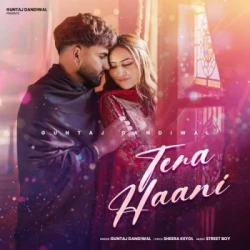Punjabi-Singles Unknown