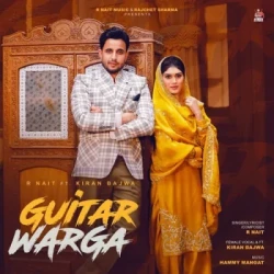 Unknown Guitar Warga